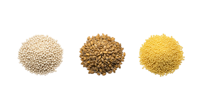 Grains pearl barley, wheat, and millet isolated on transparent background