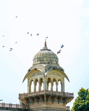 Intricate white stone chhatri dome with arches and pillars, pigeons perched and flying, representing Jaipur&rsquo;s historic Rajasthan architecture