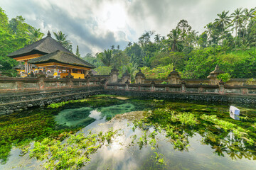 The pond at Tirta Empul Temple in Bali, Indonesia
