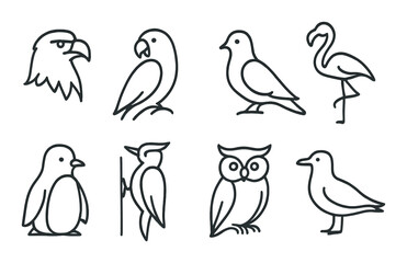 Outline drawings of various bird species on textured background