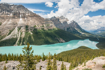 Peyto Lake