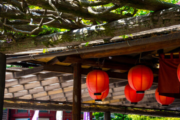 traditional chinese lanterns