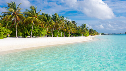 Paradise tropical maldive white sand beach with palms