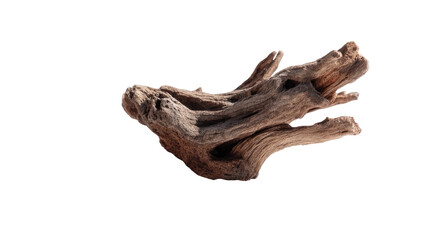 A weathered, gnarled piece of driftwood,  with intricate, branching patterns
