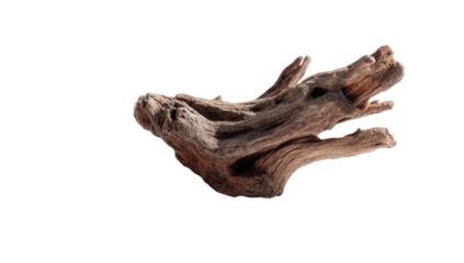 A weathered, gnarled piece of driftwood,  with intricate, branching patterns