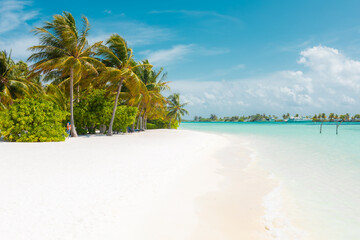 Paradise tropical maldive white sand beach with palms
