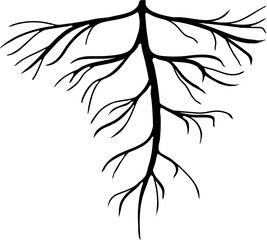 Black silhouette of root isolated on white background	