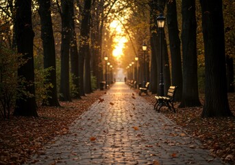 Calm park path illuminated by fading sun.