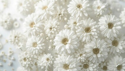 Elegant Bouquet of White Paper Daisies Close-Up Floral Texture