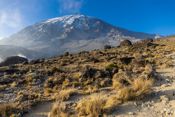 Mount Kilimanjaro Hiking Trail Way
