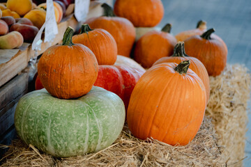 Zapallos de varios coloridos en la verdulería