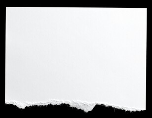 A piece of blank white paper with a rough, torn edge at the bottom, isolated on a clean black background. Perfect for adding a textured or vintage feel.

