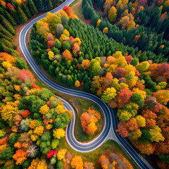 aerial view of winding road through autumn forest