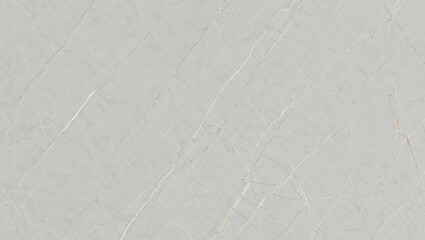 Fototapeta premium Elegant gray marble texture with delicate white veins background design