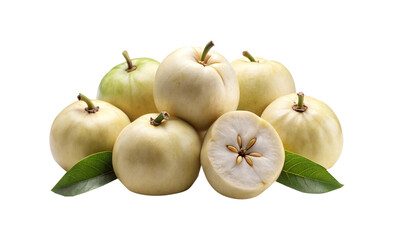 Closeup of ripe White Sapote fruits with leaves on a white background