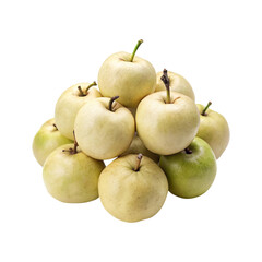 Stacked pile of fresh and juicy Asian Pears on a white background