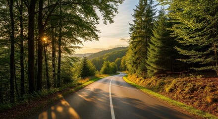 Obraz premium Winding Mountain Road at Sunset Through the Forest, Warm Light