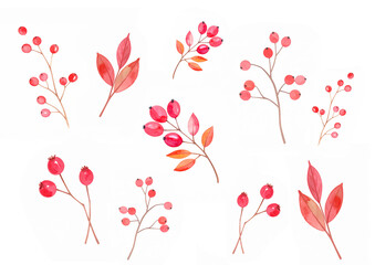 水彩で描かれた赤い実のイラストセット　ナチュラルで可愛い植物素材　手描きの赤い実イラスト 　素朴　温かみのある植物イラスト　冬　クリスマス