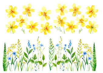 水彩で描かれた野の花のイラストセット – 素朴でナチュラルな植物素材　黄色の花　草花　