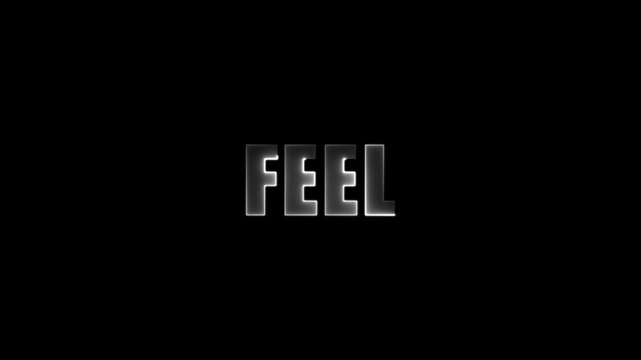 White glowing word FEL on black background with metallic sheen and outline feel text