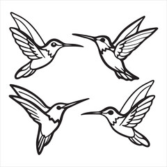 Obraz premium A Vibrant and Iridescent Hummingbird, a Featherweight and Agile Bird Hovering Gracefully to Sip Nectar, a Tiny Pollinator of the Garden