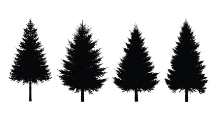 Fototapeta premium Four silhouette evergreen pine trees diverse sizes and shapes perfect for winter forest scenes vector