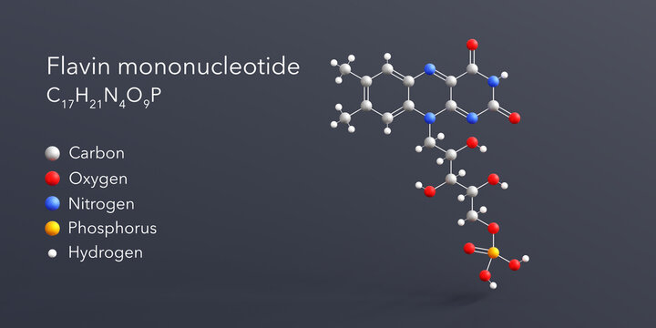 flavin mononucleotide molecule 3d rendering, flat molecular structure with chemical formula and atoms color coding