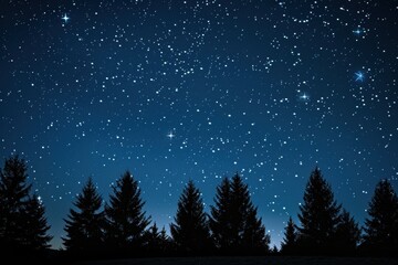 Starry Night Sky with Silhouette of Pine Trees, Winter Astronomy and Christmas Background