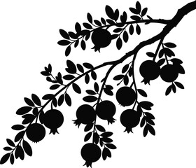 Pomegranate branch silhouette with fruits and leaves, black botanical illustration, natural fruit design for organic food, decoration, logo, and packaging © Moksedul Creative