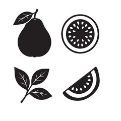 Fruit silhouette vector on white background