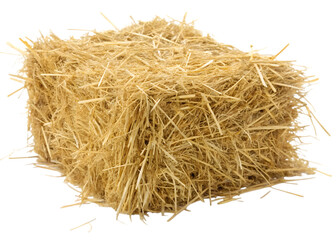 A bale of hay is shown in this image with golden straw for animal bedding or feeding