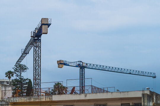 Cityscape with two working tower construction cranes against blue sky within the city, among buildings and palm trees, pines. Process of renovation of city centers replacement of current with modern