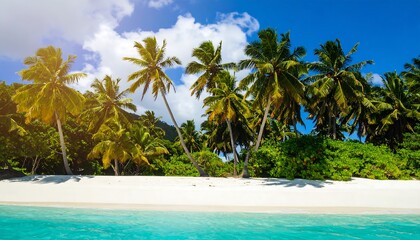 Tropical beach paradise (6)