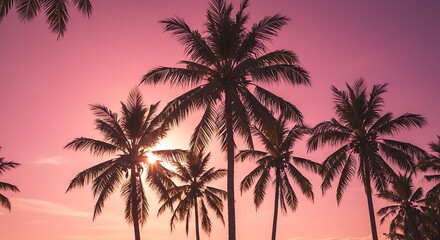 Pink Hour Silhouettes