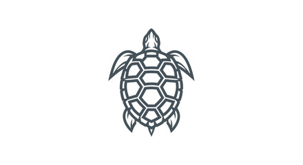 Stylized line art sea turtle logo with geometric shell.
