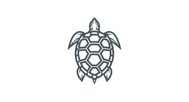 Stylized line art sea turtle logo with geometric shell.
