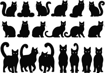 Black cat silhouettes collection with different poses and tail styles, vector illustration set of domestic feline animals isolated on white.