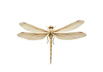 CloseUp of a Pale Dragonfly Against Black Background isolated on transparent background
