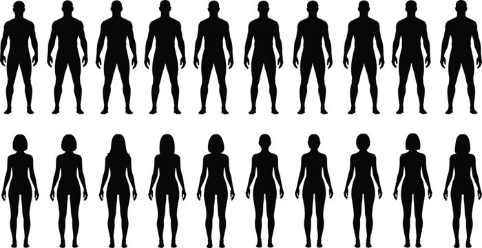 Male, female, silhouettes, body, types, diversity, anatomy, proportion, shape, figure, posture, black, outline, vector, illustration, isolated, design, element, people, icon, set, graphic