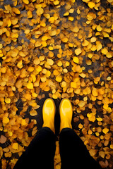Top view of female feet with yellow rubber boots, autumn golden leaves on the ground