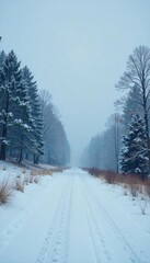A forlorn, snow-covered landscape under a grey, overcast sky The scene evokes feelings of winter melancholy and isolation, perfect for illustrating the winter blues , frozen ground, blues