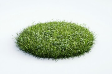 3D render of a circular grass field with some plants on a white background, in the style of a cartoon, minimalist style.