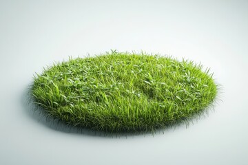 3D render of a circular grass field with some plants on a white background, in the style of a cartoon, minimalist style.