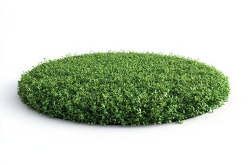 3D render of a circular grass field with some plants on a white background, in the style of a cartoon, minimalist style.