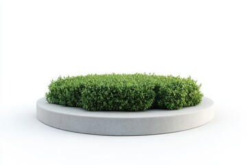 3D render of a circular grass field with some plants on a white background, in the style of a cartoon, minimalist style.