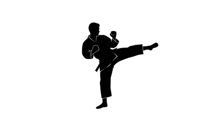Silhouette of a martial artist performing a dynamic side kick in a karate gi.