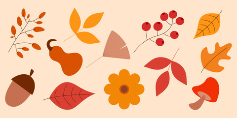 Autumn icon set with colorful fall leaves, acorn, flower, mushroom and other. Cute seasonal element for Thanksgiving, web and print design. Vector