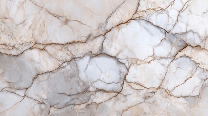 A close-up view of a stunning marble surface featuring intricate patterns and natural veining, ideal for use in various design and architecture projects.