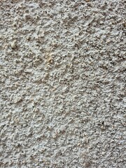 Rough Cement Wall Texture
