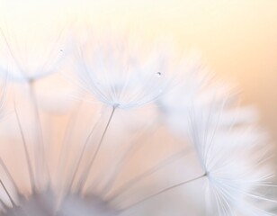 Soft Focus White Dandelion Seed Head with Blurred Natural Background &ndash; Delicate Botanical Macro Photography